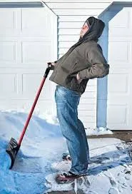 Expert landscaping services for beautiful yards across Minneapolis, MN - Minneapolis Lawn and Snow