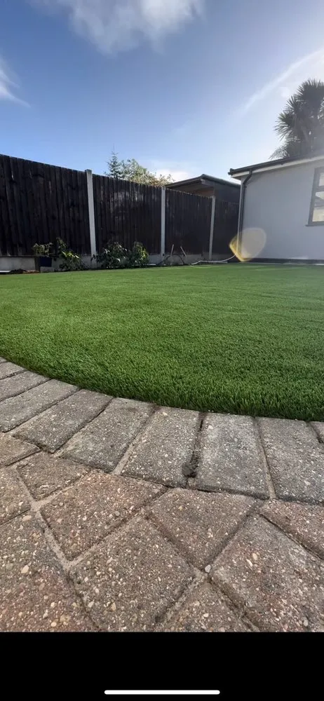 Professional yard cleanup service in Burnsville, MN - Minnesnowta lawn care