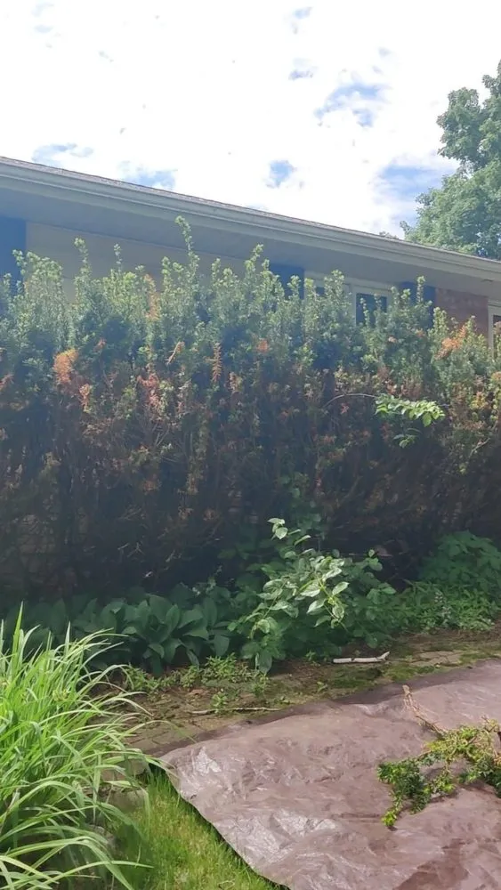 Reliable outdoor landscaping experts serving new hope, MN - Minnesota Good Landscapes