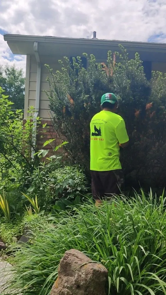 Local landscape design for homes across new hope, MN - Minnesota Good Landscapes