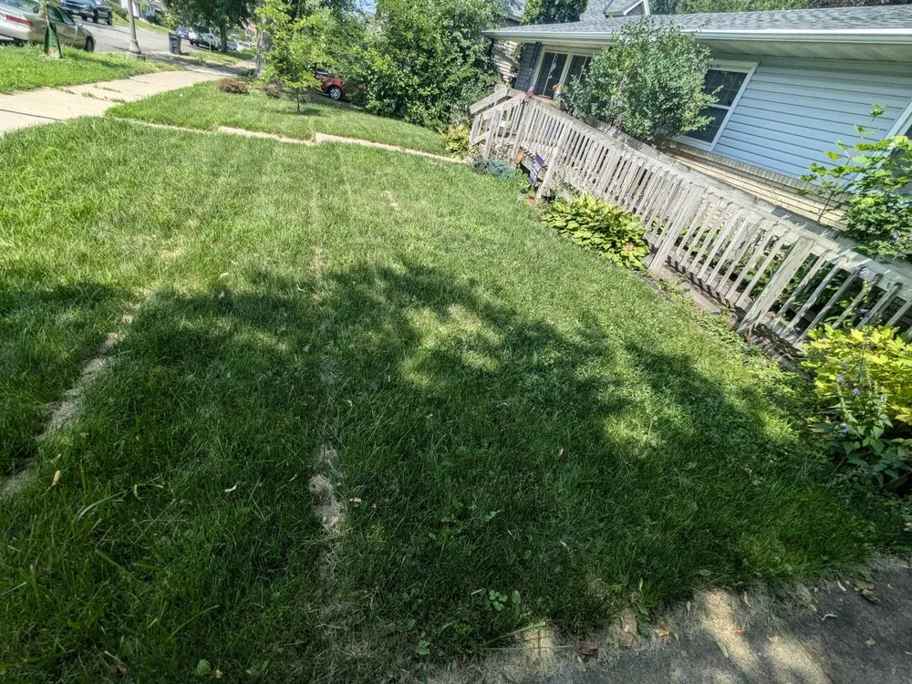 Affordable landscape installation in Saint Paul, MN by Minnesota Lawn Buddy's