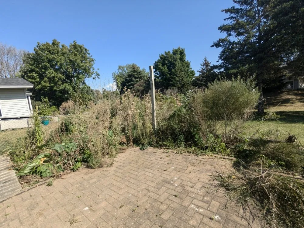 Trusted yard cleanup service for residential properties in Saint Paul, MN by Minnesota Lawn Buddy's