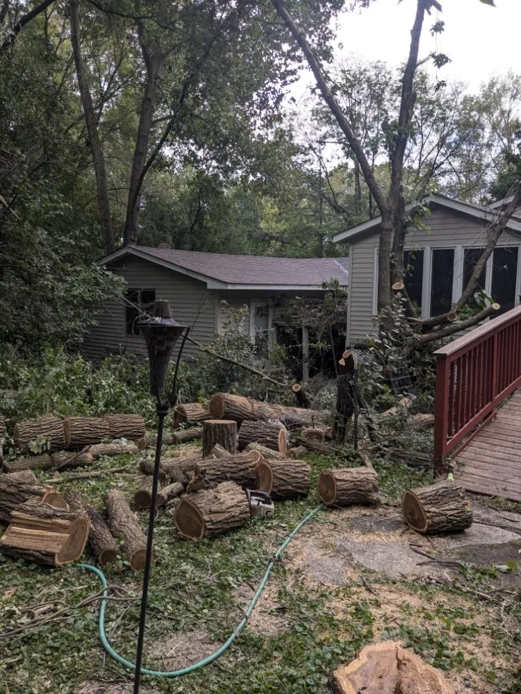 Trusted yard cleanup service for beautiful yards across Saint Paul, MN - Minnesota Lawn Buddy's