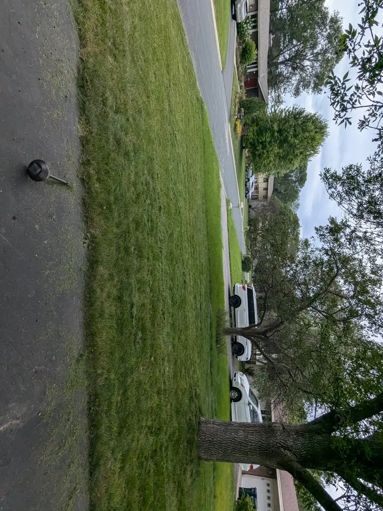 Local landscape design in Saint Paul, MN by Minnesota Lawn Buddy's