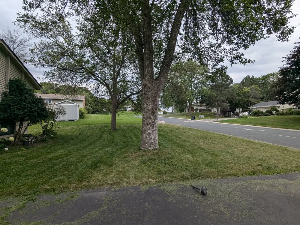 Reliable landscape installation for outdoor upgrades across Saint Paul, MN - Minnesota Lawn Buddy's