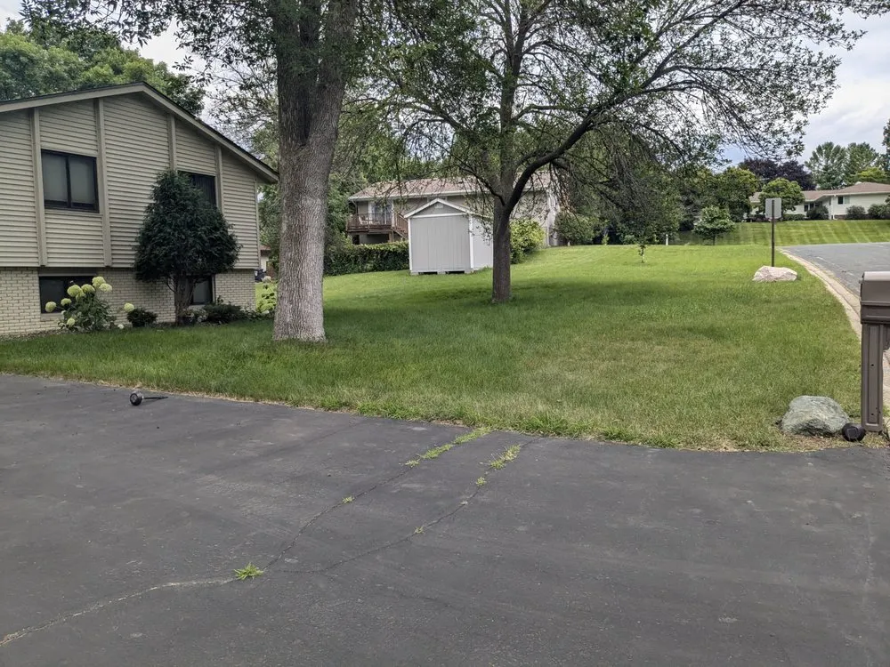 Top-rated yard cleanup service in Saint Paul, MN - Minnesota Lawn Buddy's