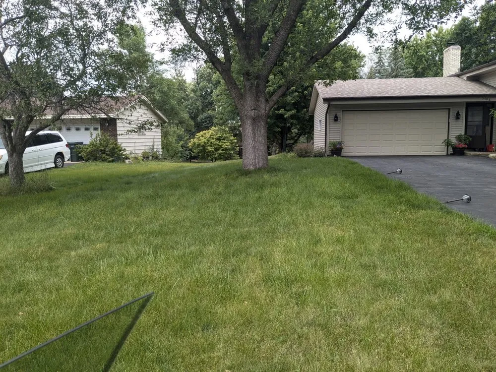 Top-rated yard maintenance for year-round maintenance across Saint Paul, MN - Minnesota Lawn Buddy's