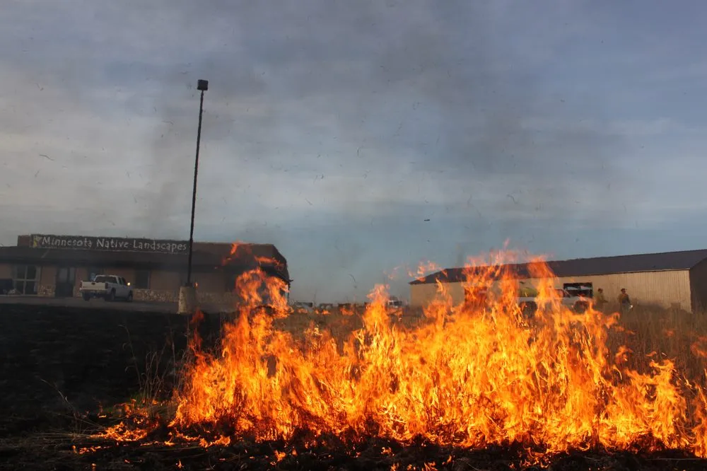 Expert landscape design experts serving Foley, MN - Minnesota Native Landscapes