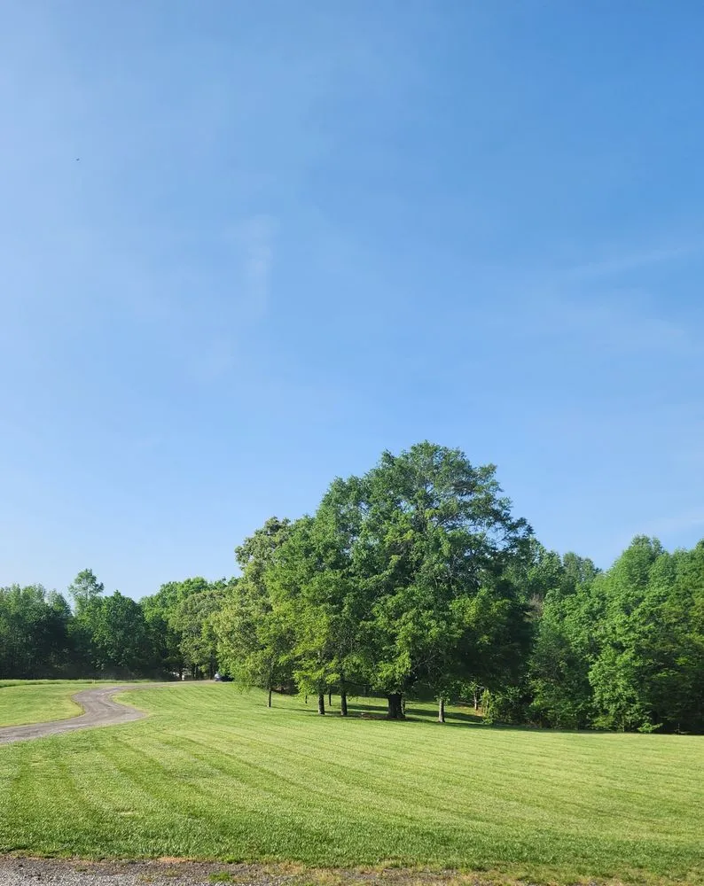 Custom lawn care service for year-round maintenance across Rochester, MN - Minnesota Nice Lawns