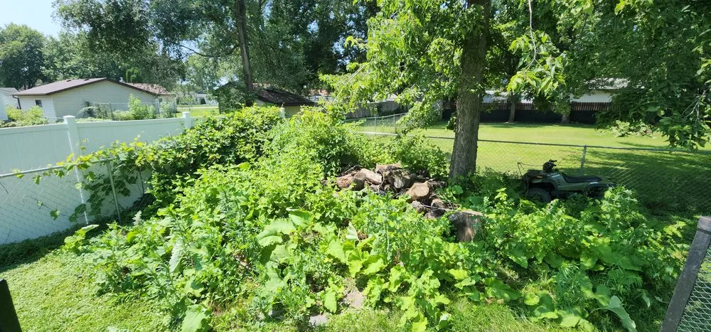 Custom landscape installation experts serving Rochester, MN - Minnesota Nice Lawns