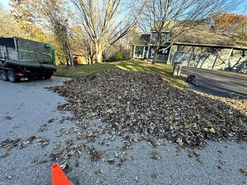 Expert yard cleanup service in Shakopee, MN - Minnesota Quality Cut Lawn Service