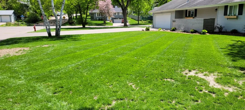 Reliable residential landscaping experts serving Shakopee, MN - Minnesota Quality Cut Lawn Service