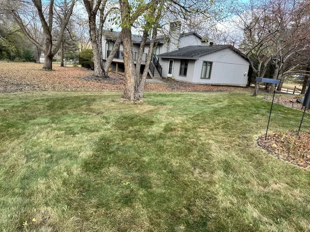 Professional yard maintenance experts serving Shakopee, MN - Minnesota Quality Cut Lawn Service
