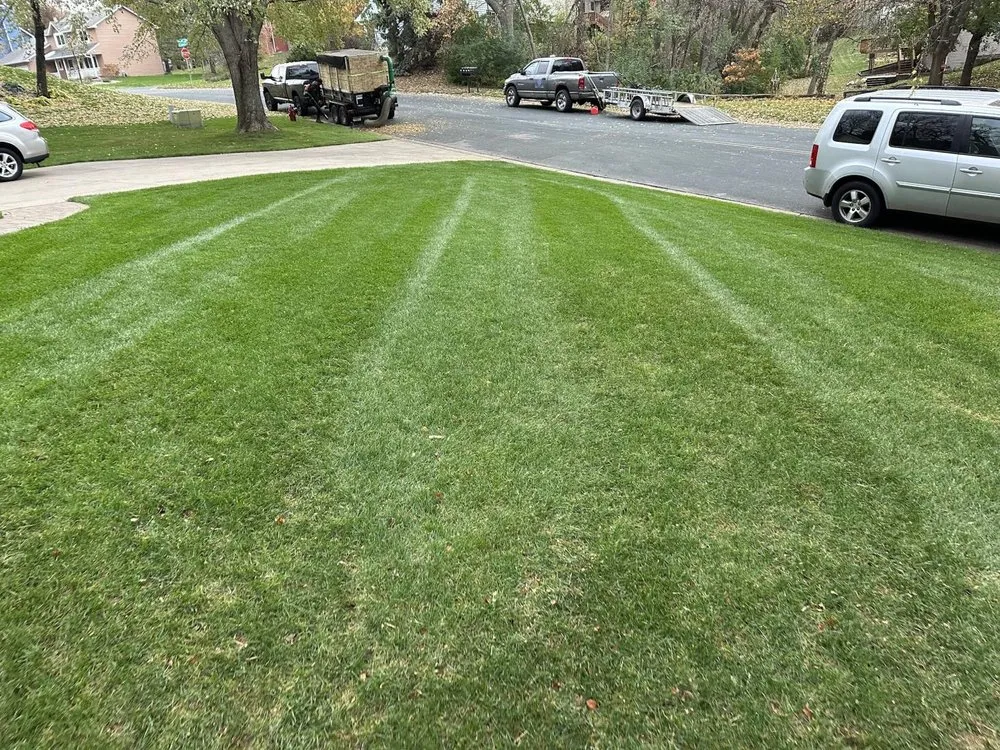 Custom yard cleanup service experts serving Shakopee, MN - Minnesota Quality Cut Lawn Service