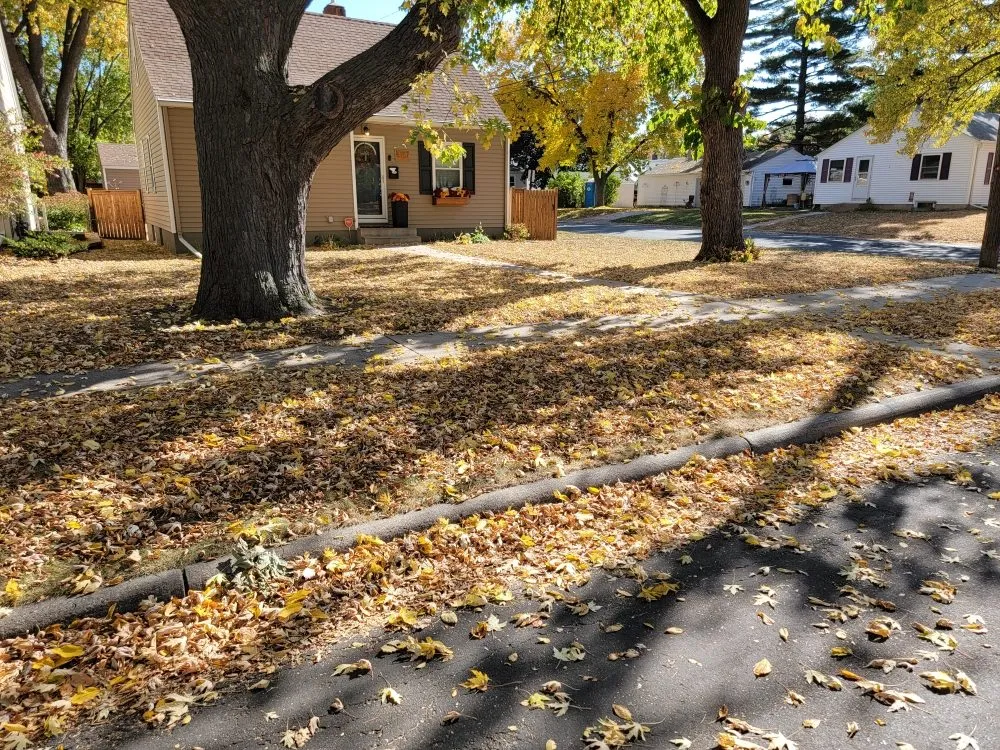 Affordable lawn care service in Shakopee, MN by Minnesota Quality Cut Lawn Service