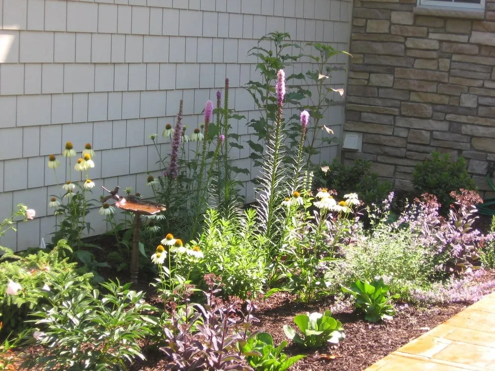 Expert landscape installation experts serving Corcoran, MN - Minnesota Waterscapes