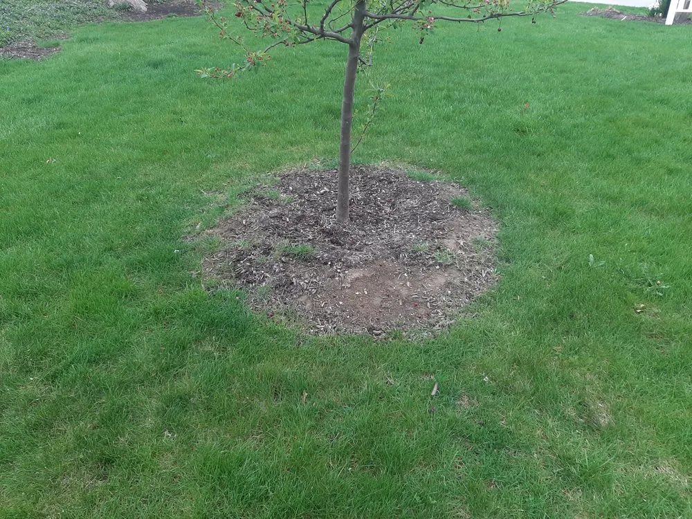Top-rated yard maintenance with custom design in Saint Joe, IN by Minnick Lawn & Landscaping