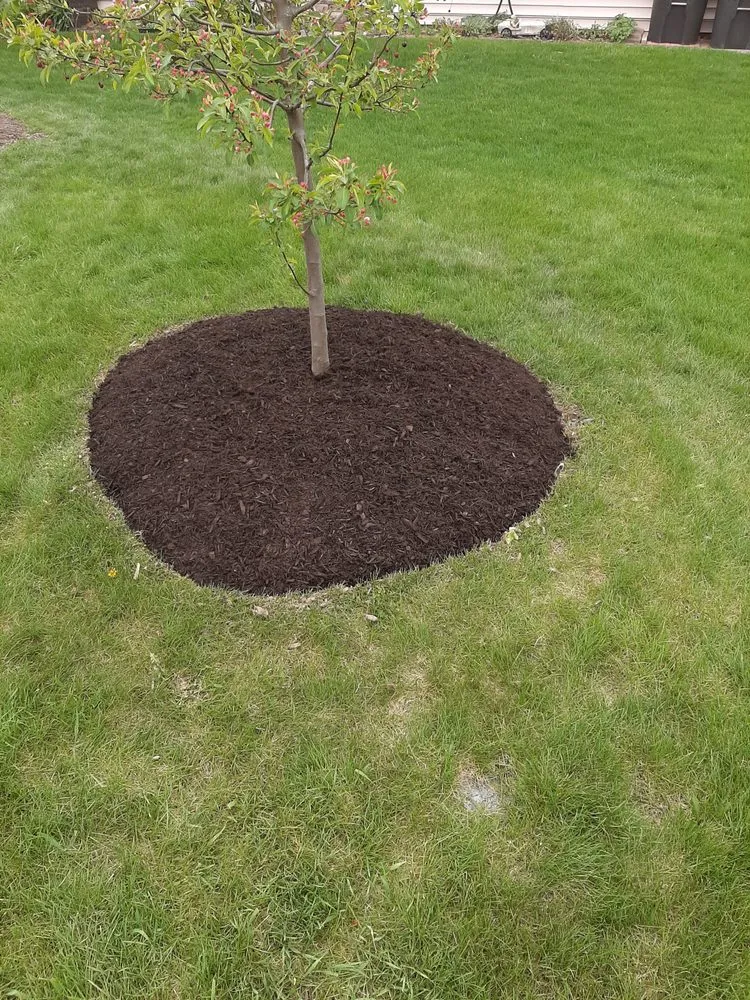 Affordable yard maintenance for homes in Saint Joe, IN by Minnick Lawn & Landscaping