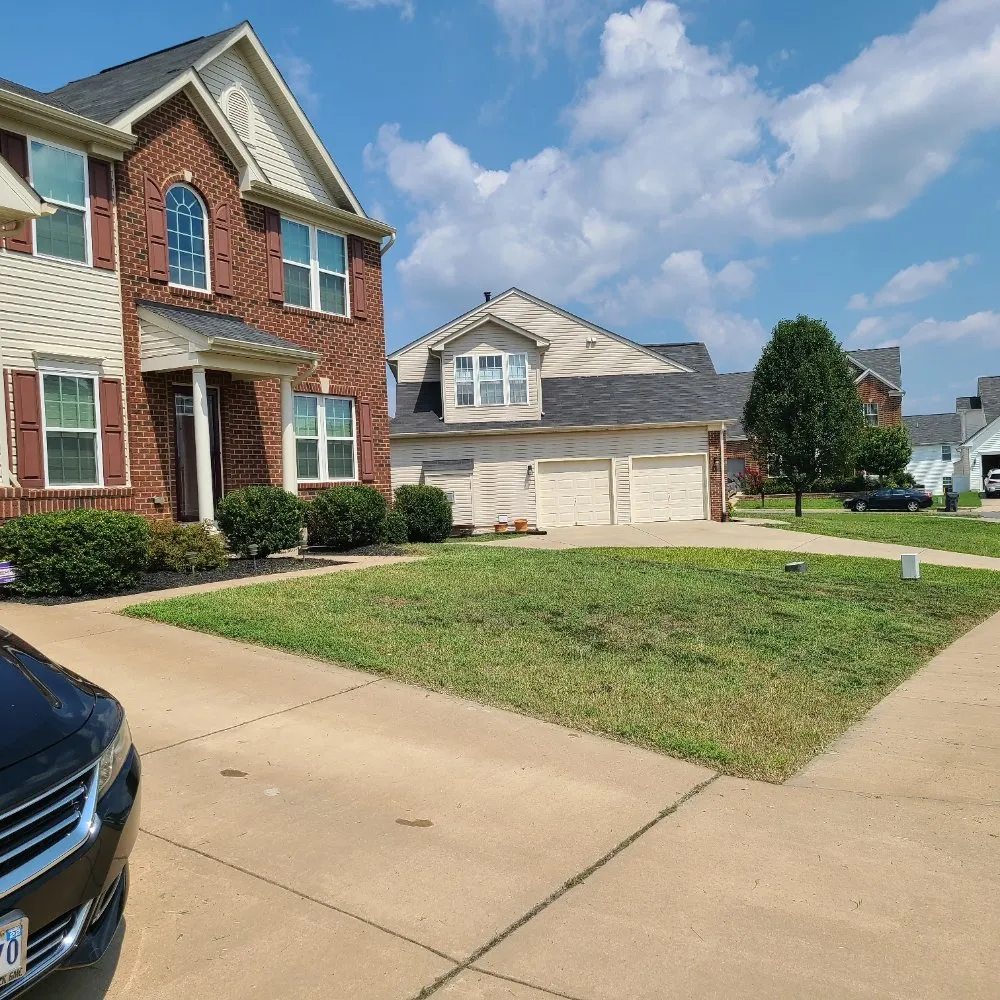 Trusted landscape installation experts serving Spotsylvania, VA - Minor Family Premium Firewood