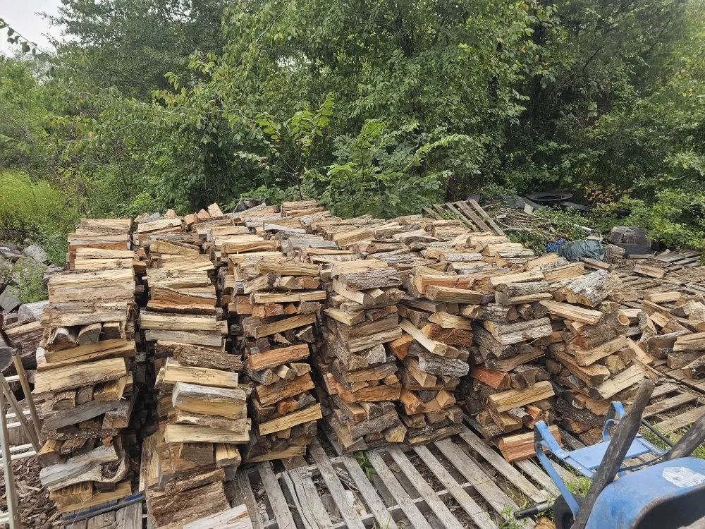 Custom yard cleanup service in Spotsylvania, VA by Minor Family Premium Firewood