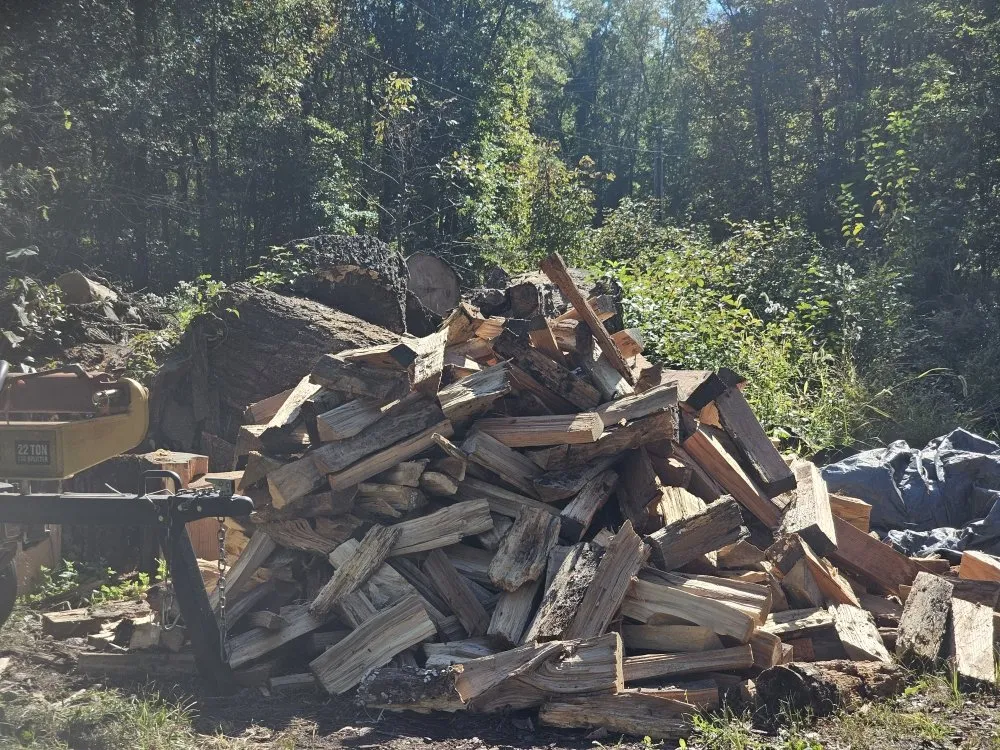 Local yard cleanup service in Spotsylvania, VA by Minor Family Premium Firewood