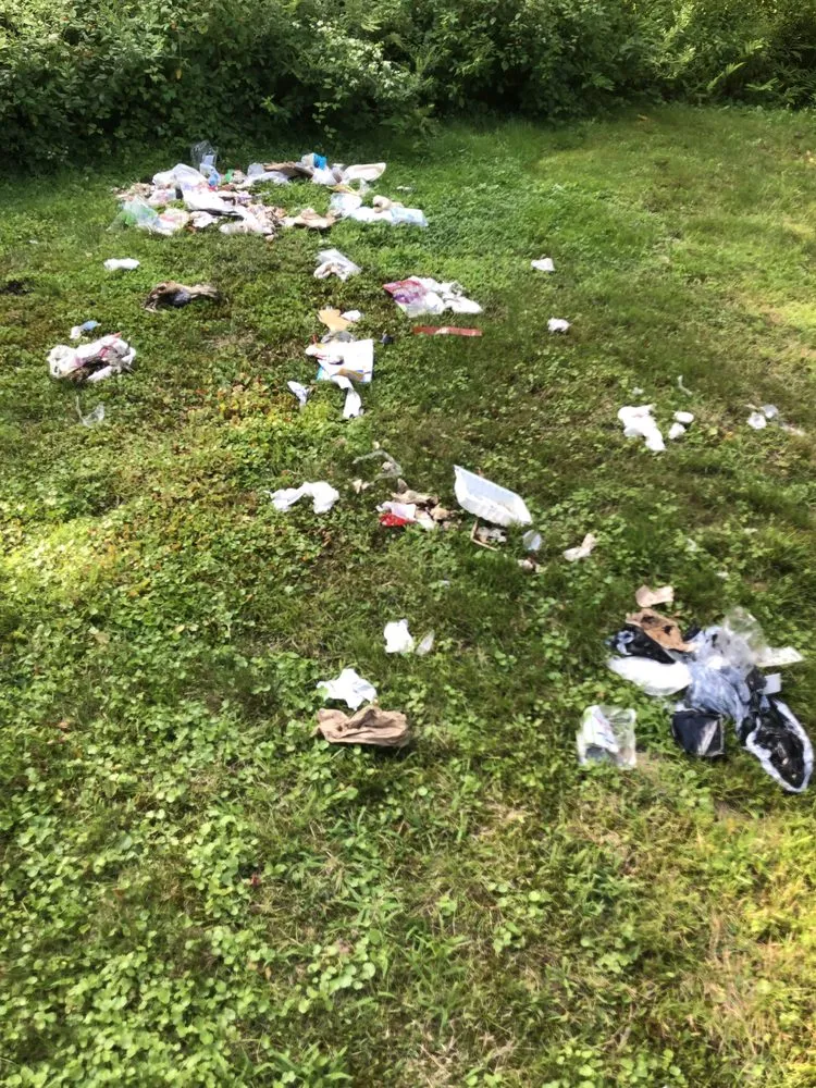 Expert lawn care service in Williston, VT by Minor's Property Maintenance