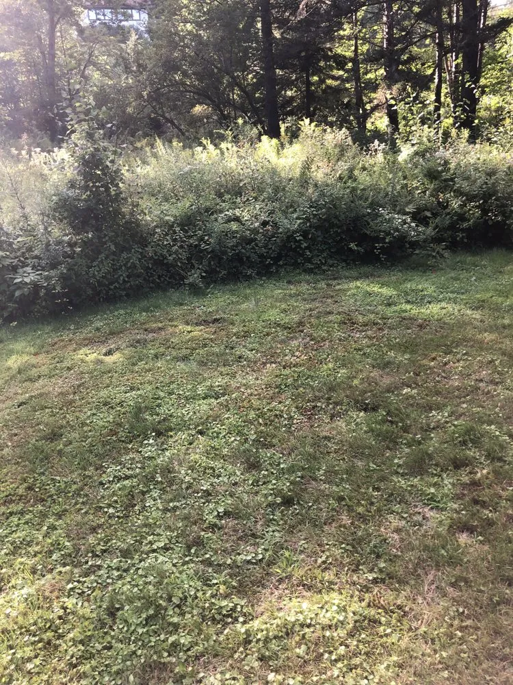 Affordable landscape design in Williston, VT - Minor's Property Maintenance