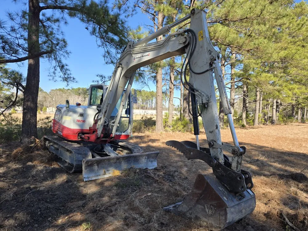 Professional garden landscaping in Hampstead, NC by Mint Condition Land Management