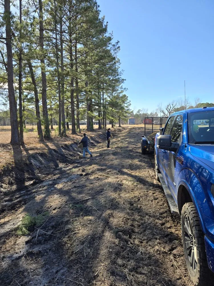 Trusted residential landscaping near you across Hampstead, NC - Mint Condition Land Management