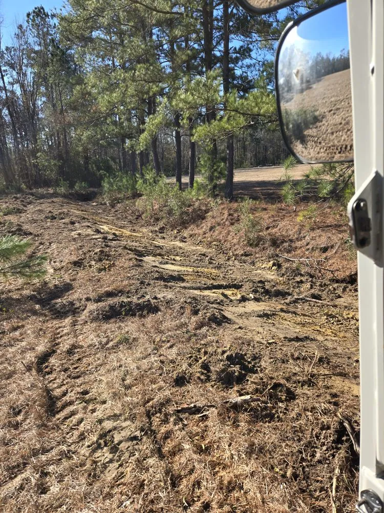 Affordable yard cleanup service in Hampstead, NC by Mint Condition Land Management