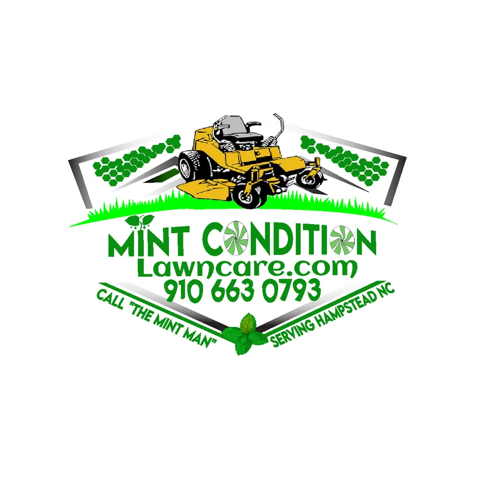 Professional garden landscaping in Hampstead, NC by Mint Condition Land Management