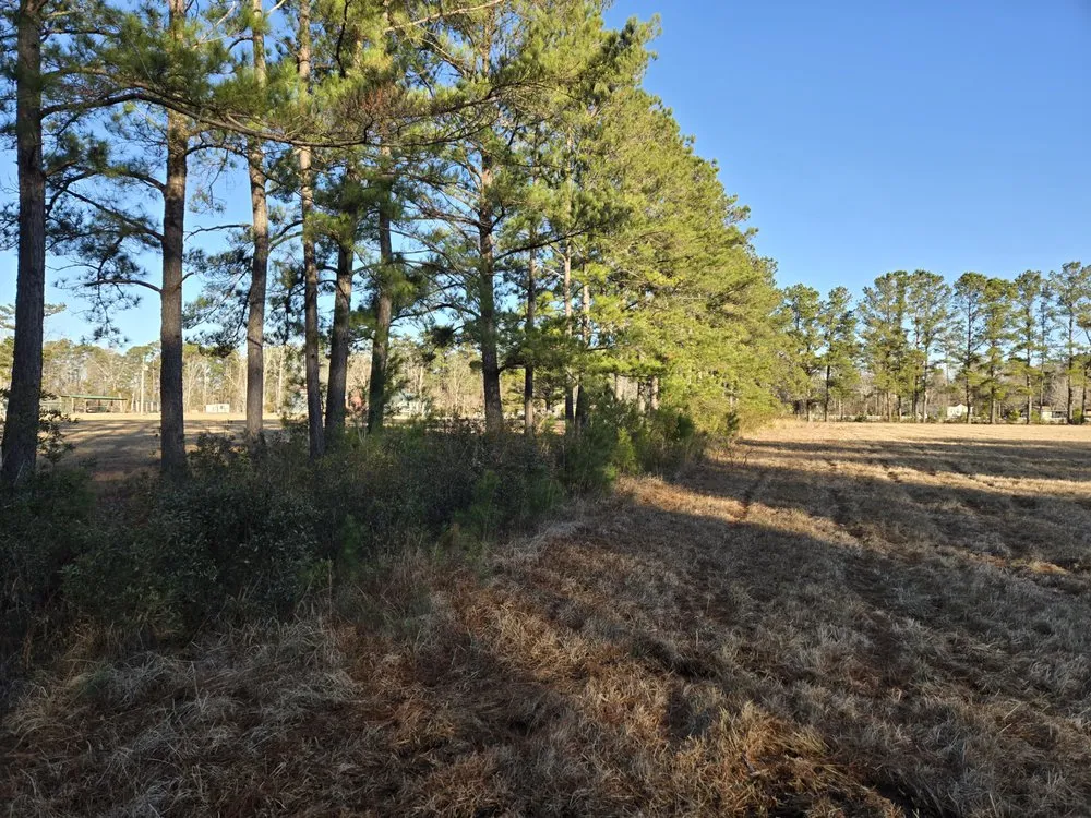 Top-rated landscape installation in Hampstead, NC by Mint Condition Land Management