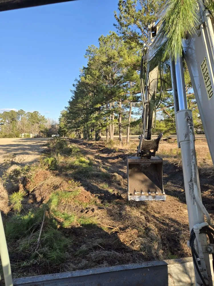 Expert landscape design experts serving Hampstead, NC - Mint Condition Land Management