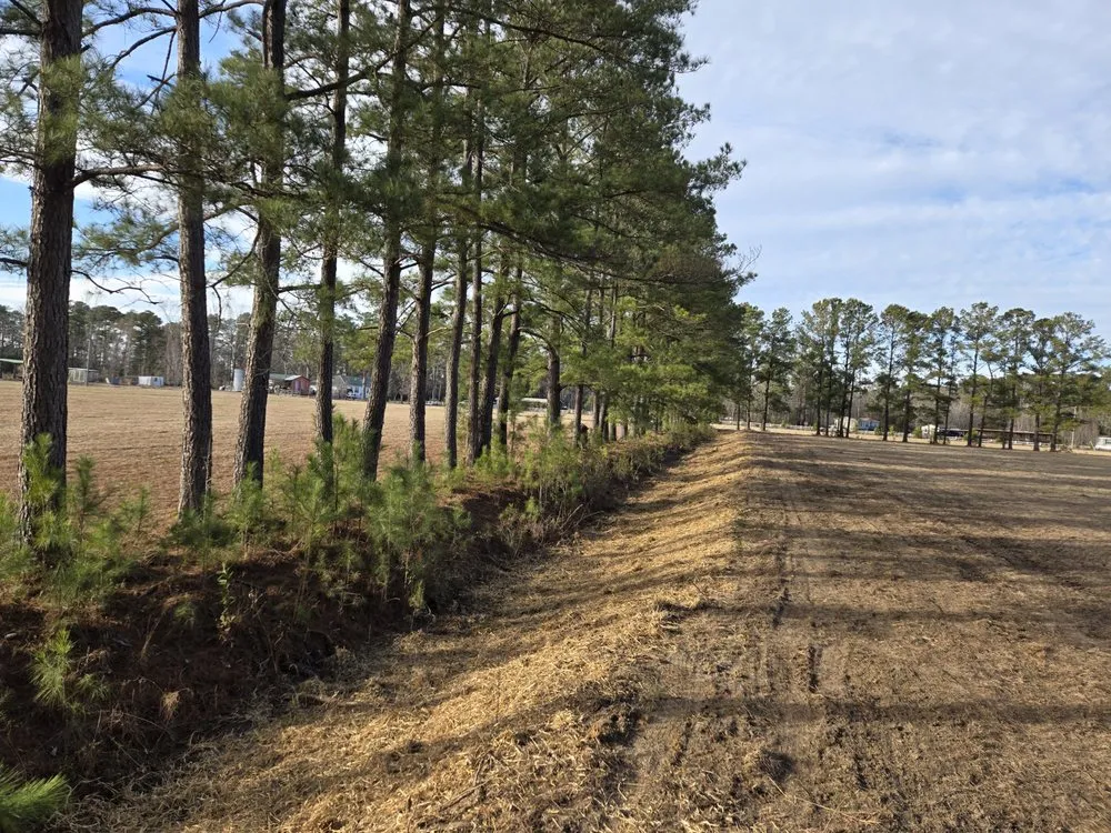 Expert lawn care service for outdoor upgrades across Hampstead, NC - Mint Condition Land Management