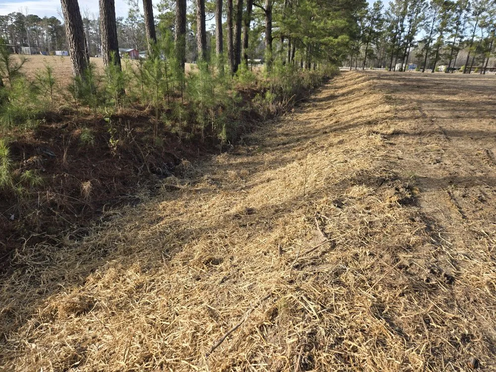 Local landscaping services for year-round maintenance across Hampstead, NC - Mint Condition Land Management