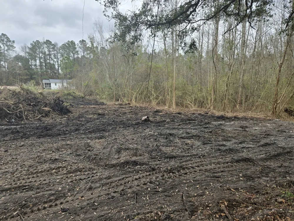 Top-rated landscape design experts serving Hampstead, NC - Mint Condition Land Management