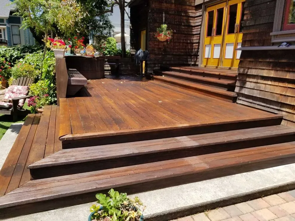 Expert yard maintenance for year-round maintenance across Alameda, CA - Mint Exterior Designs