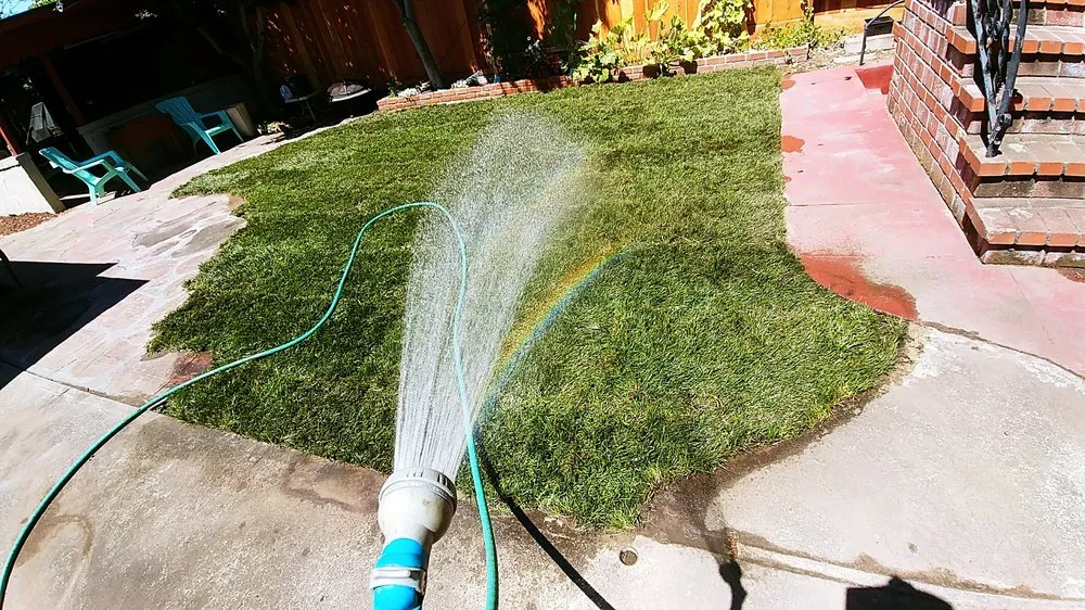 Affordable landscape installation experts serving Alameda, CA - Mint Exterior Designs