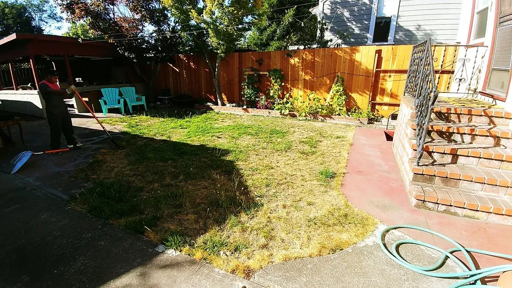 Reliable yard maintenance with custom design in Alameda, CA by Mint Exterior Designs