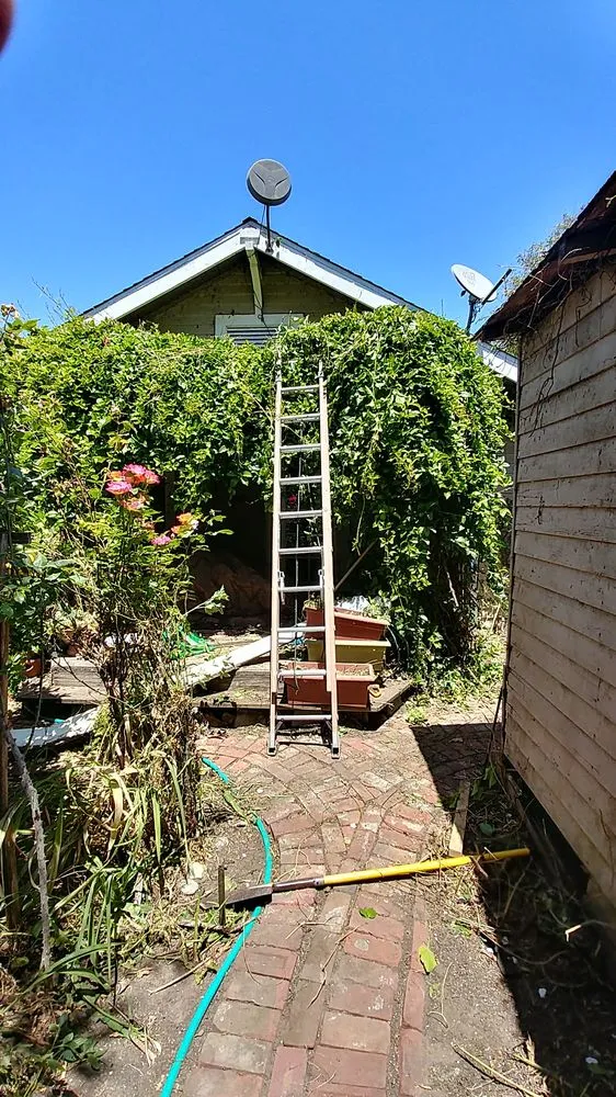 Professional landscape installation for year-round maintenance across Alameda, CA - Mint Exterior Designs