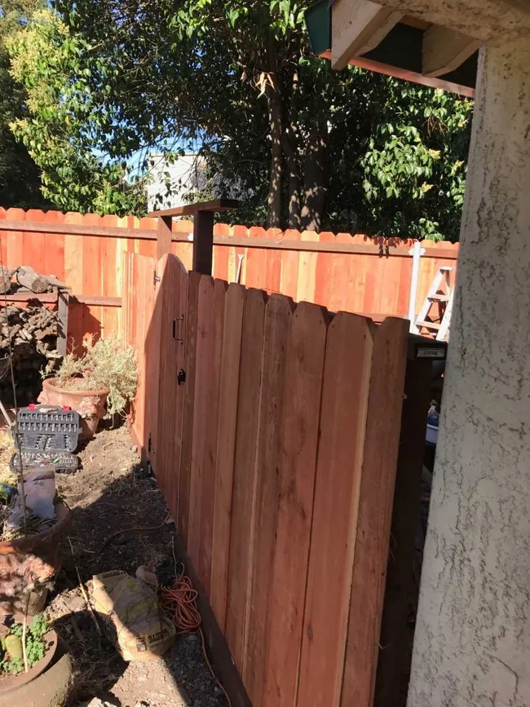 Custom yard maintenance in Alameda, CA - Mint Exterior Designs