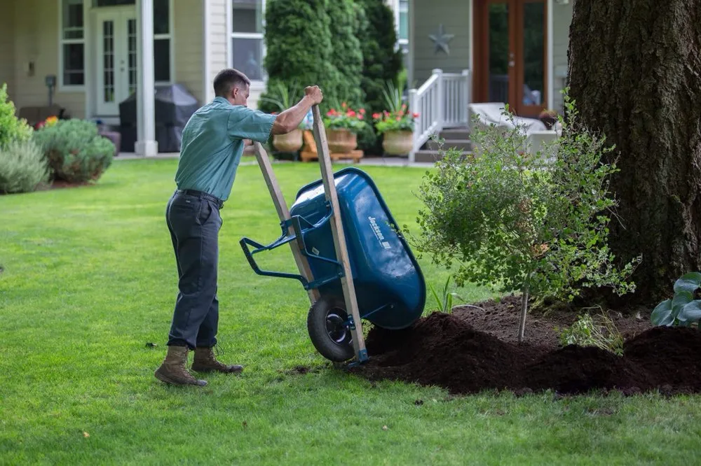 Professional residential landscaping in Lacey, WA - Mint Landscapes