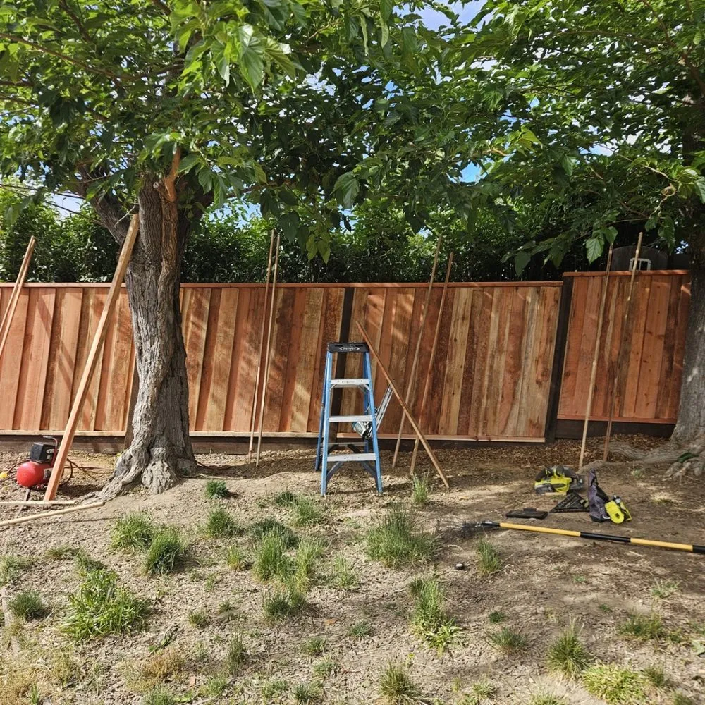 Reliable lawn mowing service experts serving San Jose, CA - Mint Organic Cleaning & Company