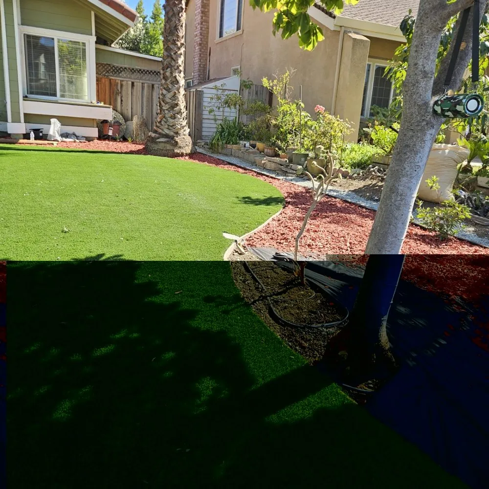 Top-rated lawn care service with custom design across San Jose, CA - Mint Organic Cleaning & Company
