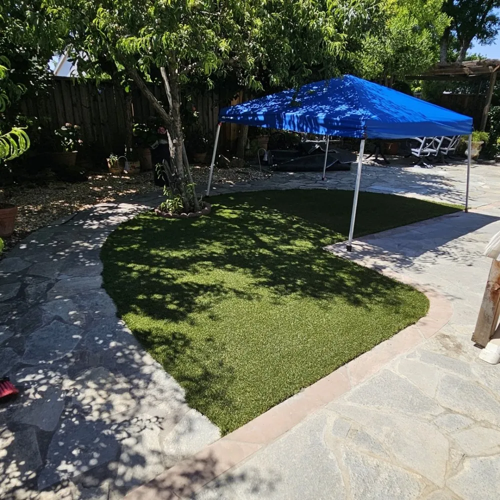 Professional outdoor landscaping in San Jose, CA - Mint Organic Cleaning & Company