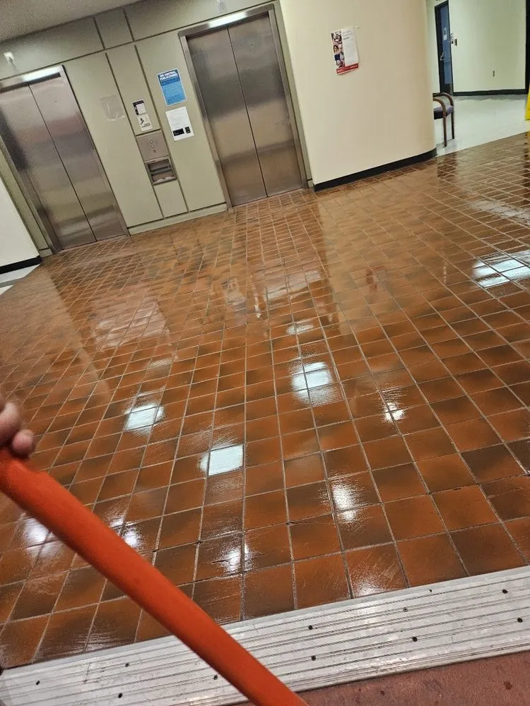 Top-rated landscape design experts serving San Jose, CA - Mint Organic Cleaning & Company