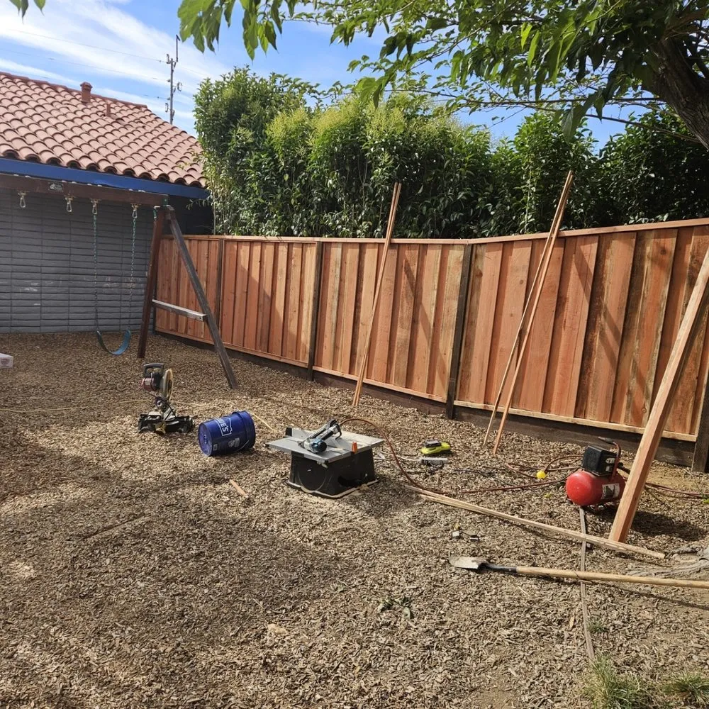 Professional yard maintenance in San Jose, CA - Mint Organic Cleaning & Company