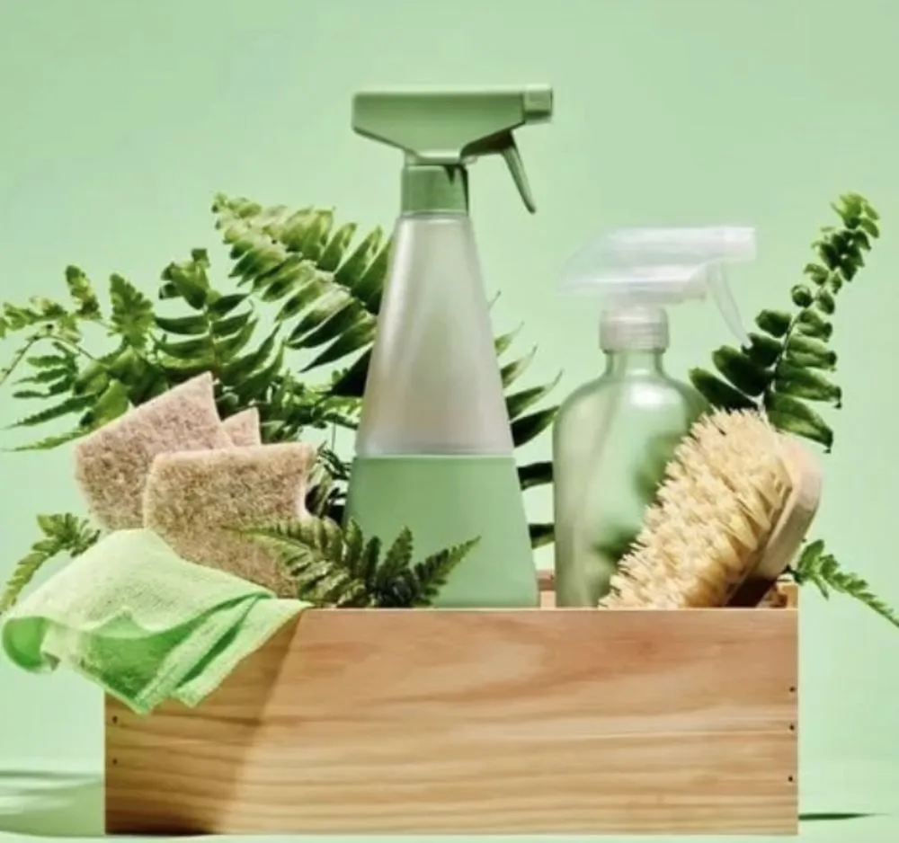 Trusted landscaping services for homes in San Jose, CA by Mint Organic Cleaning & Company