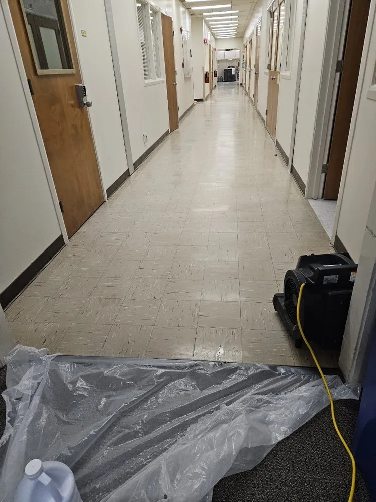 Custom residential landscaping in San Jose, CA - Mint Organic Cleaning & Company