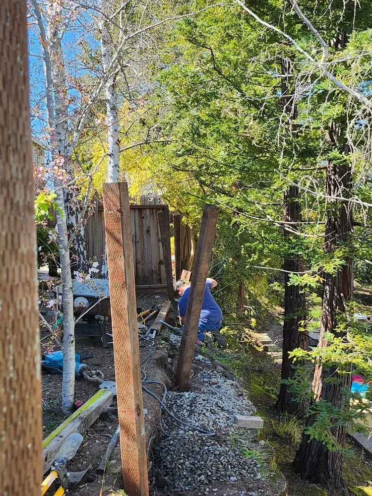 Top-rated landscape installation in San Jose, CA - Mint Organic Cleaning & Company